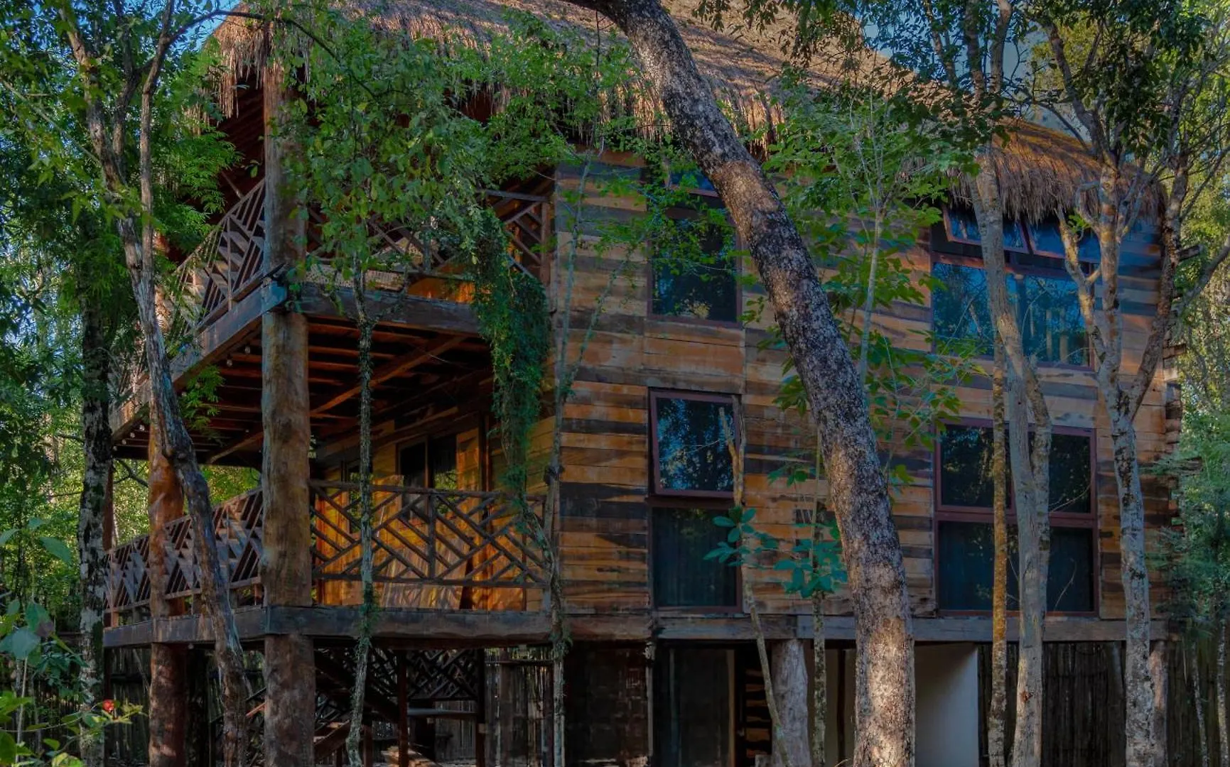 Hotel Treehouse Tulum H2Ojos Mexiko